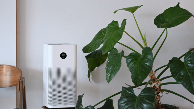 Air purifier next to a plant
