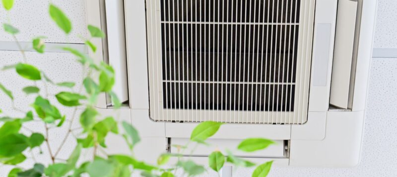 Indoor air conditioning unit mounted on a wall with plant leaves in the foreground