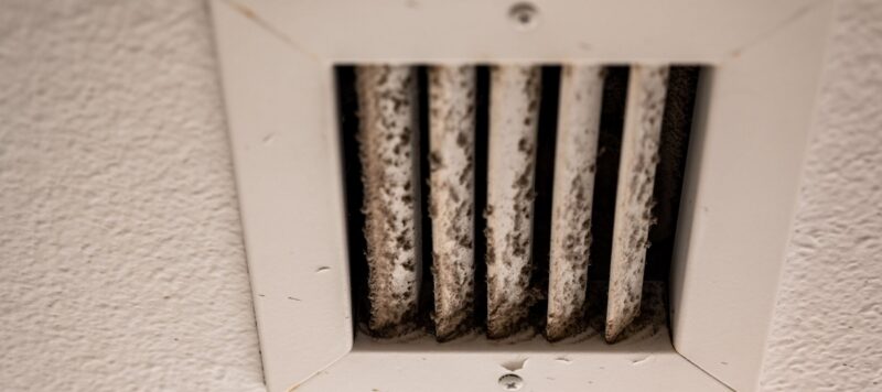 closeup of an air duct vent filled with mold on the panels